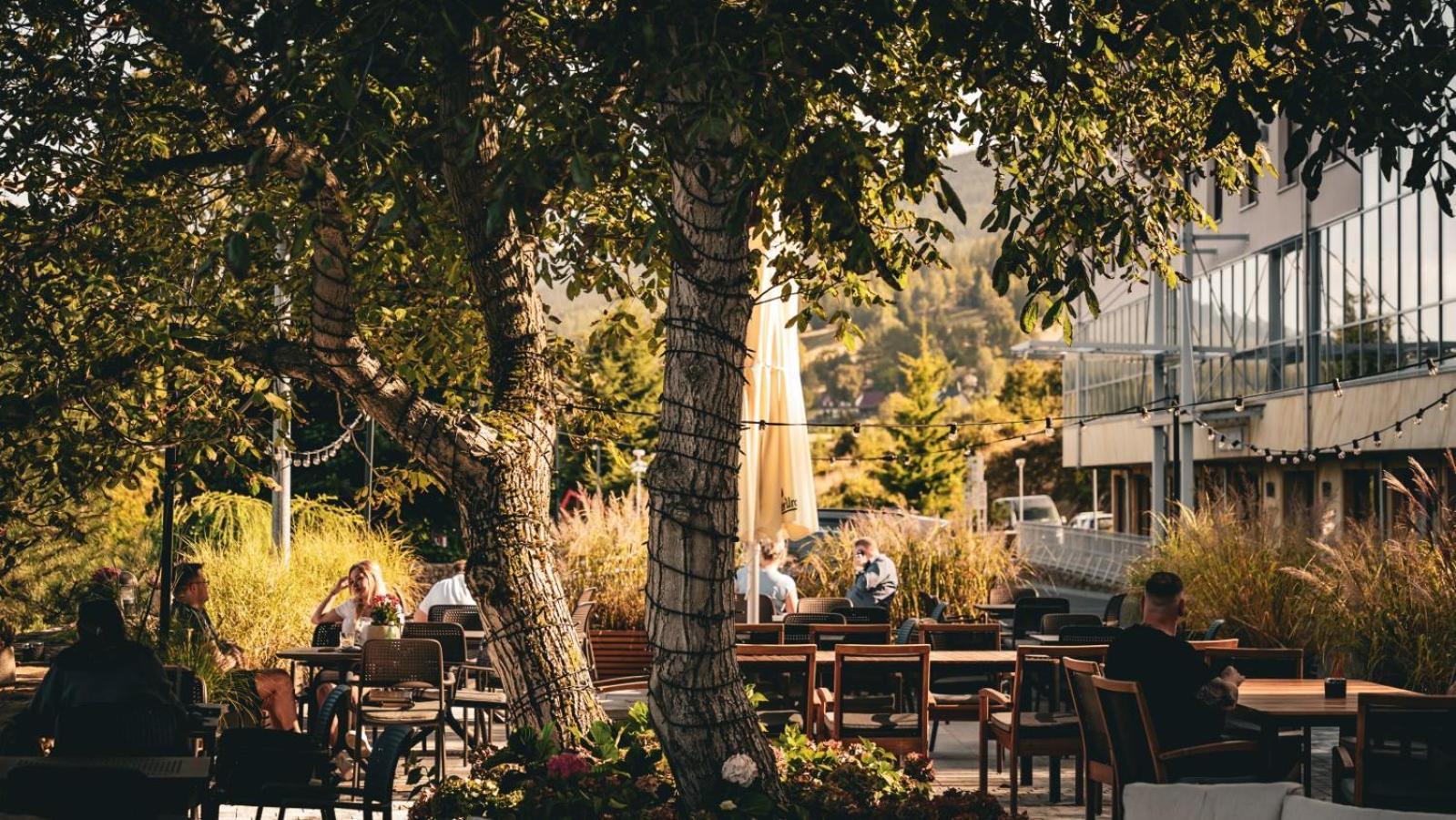 Hotel & Medi-Spa Bialy Kamien Świeradów-Zdrój Kültér fotó
